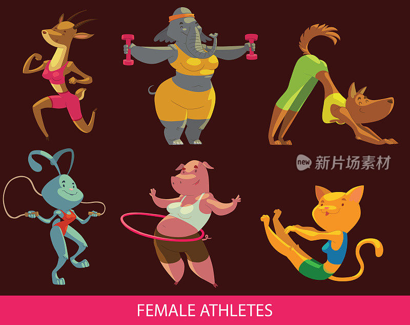 Set of funny female animals in the gym